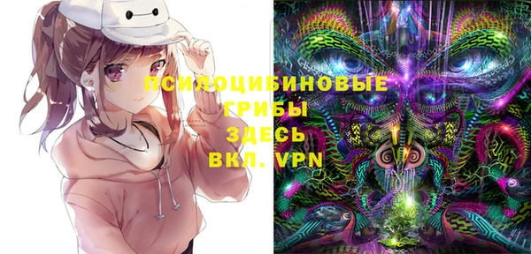 круглые Абаза