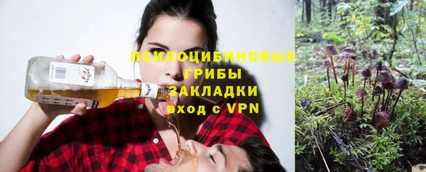 СК Абдулино